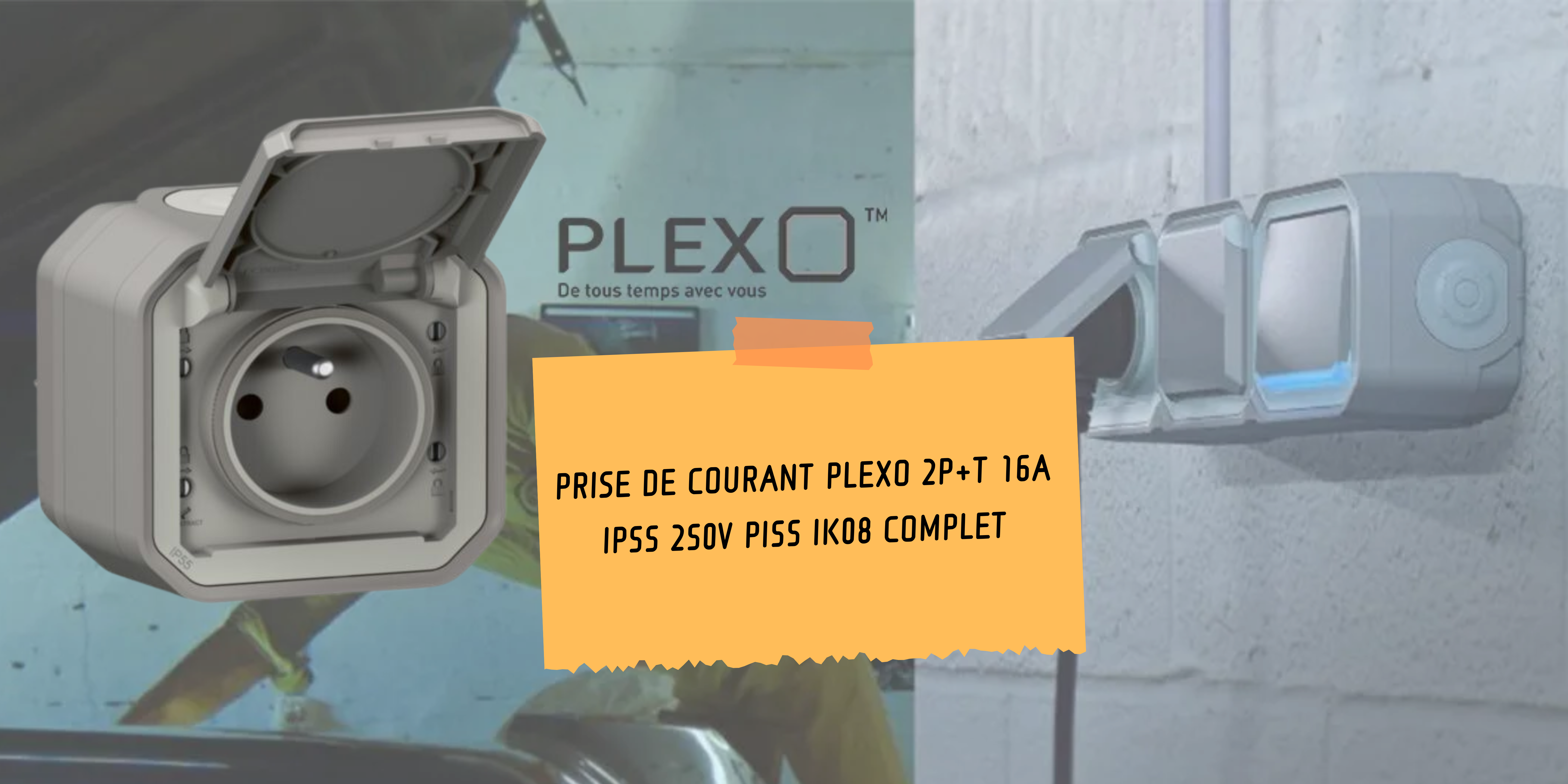 Legrand  Prise Plexo 2P+T 16A